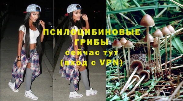 бошки Гвардейск