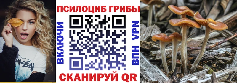 Галлюциногенные грибы MAGIC MUSHROOMS  KRAKEN ССЫЛКА  Руза 
